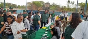 mercasol1