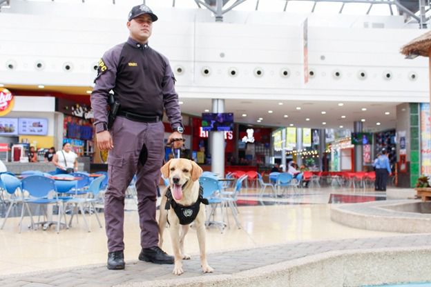 exposeguridad1