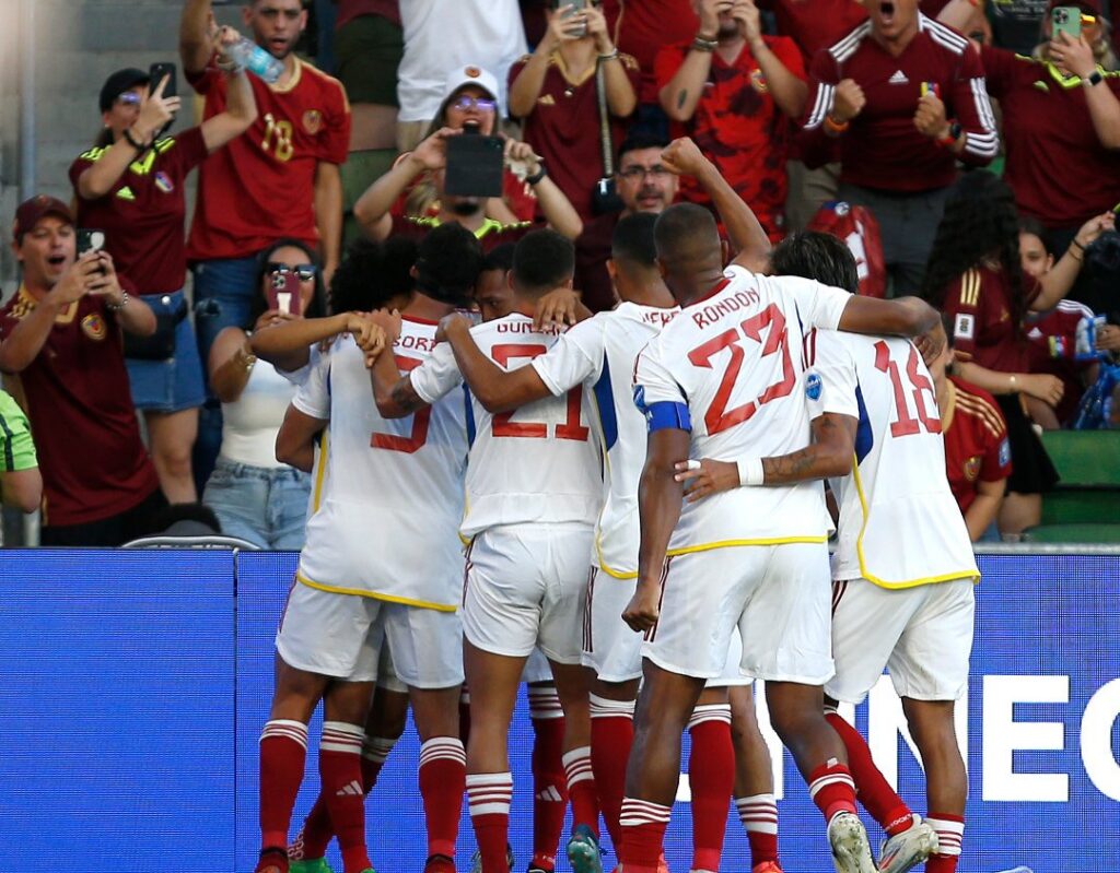 vinotinto