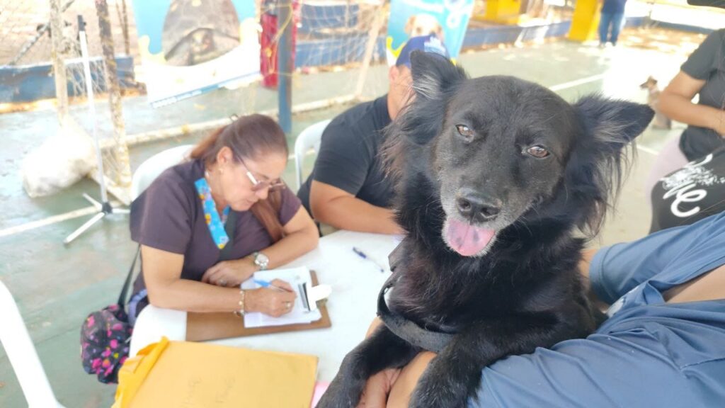 MASCOSUR1
