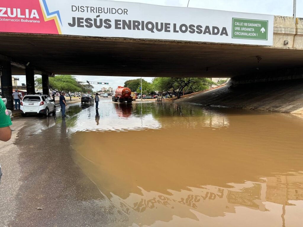 avenida1