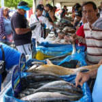 ‎¡PRECIOS SOLIDARIOS! ‎Feria del Pescado de la Alcaldía de Maracaibo llegó a la Curva de Molina