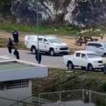 ¡POLÉMICA! Exhuman restos de Víctor Quero en presencia de funcionarios y expertos forenses y de su madre